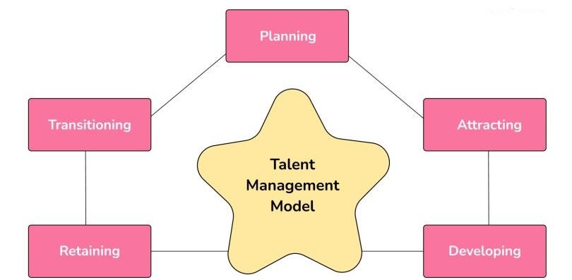 Talent Management: Process, Meaning and Model