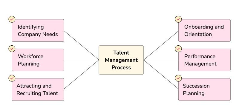 Talent Management: Process, Meaning and Model